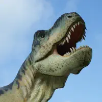 All Animals Sounds