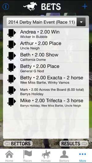 DerbyPartyPhone Light screenshot 4