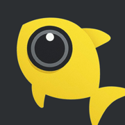 FishLens: A Fish Eye Camera