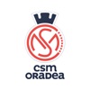 CSM Oradea icon