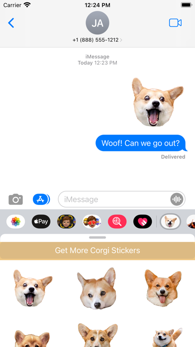 Corgi Dog's Head Screenshot