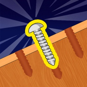 屏幕截图 (7) Screw Sorting Quest