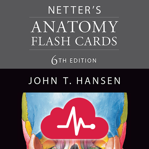 Netters Anatomy Flash Cards