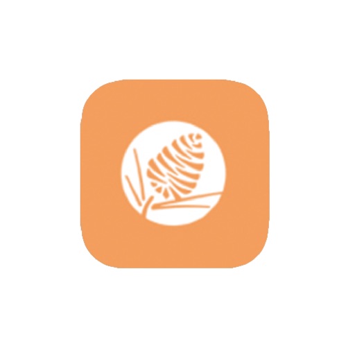 Pine Terrace Baptist Church