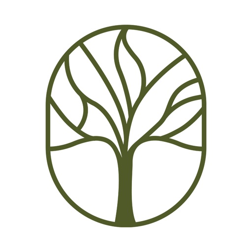 Bosque Figueira Loteamento