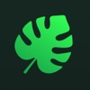Plant ID & Care: Planthy icon