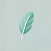 Todry icon