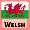 Learn Welsh Phrases & Words icon