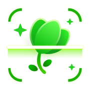 Picture Identifier - EveryScan