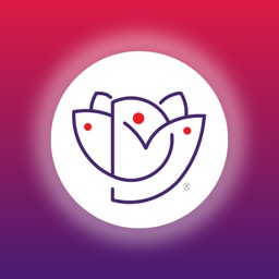 Dharma Zen