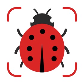 Insect Identifier AI Scanner