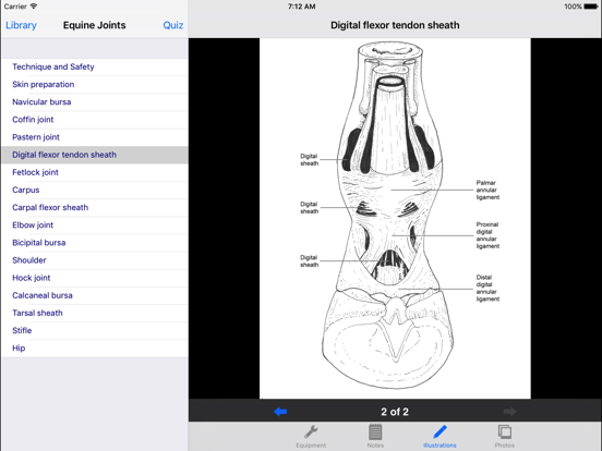 Screenshot #4 pour BEVA Equine Joint Injections