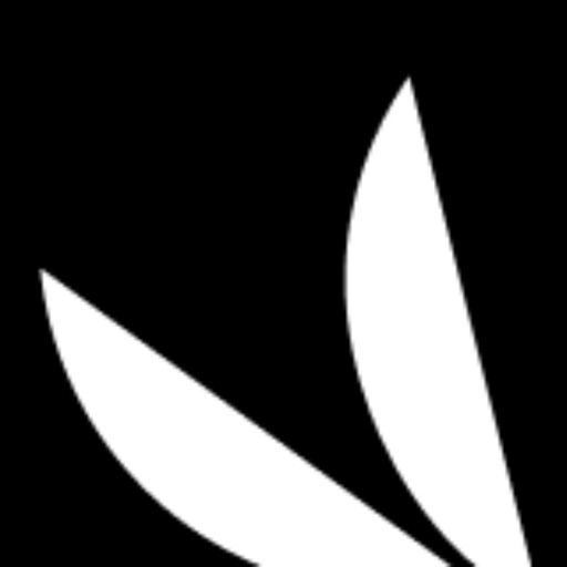 Motif - Wealth Intelligence