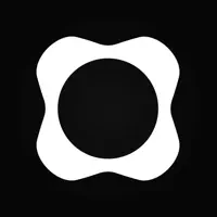 Origin: AI Budget and Track