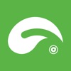 TAO RGBlink icon