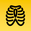 Thorax-Röntgen Meister - RER MedApps