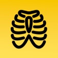 胸部X光精通