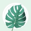 Plant Identifier - PlantMe icon