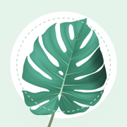 PlantMe - Tree Identification
