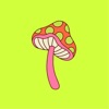 Buzzwork icon