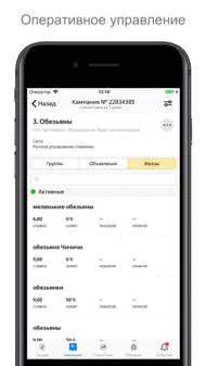 Яндекс Директ для бизнеса iphone bilder 0