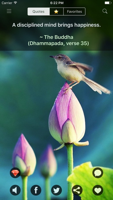 Screenshot #1 pour Buddha Quotes: Buddhist Wisdom