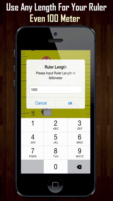 Super Ruler screenshot