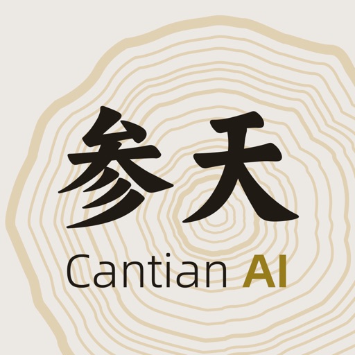 参天AI - 专业AI八字排盘