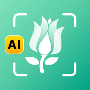 Plant Identifier UK Plant Care