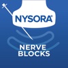 NYSORA Nerve Blocks icon