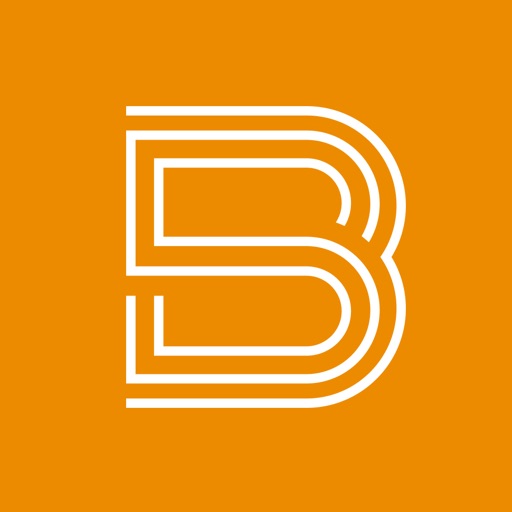 Bliss Smart Blinds