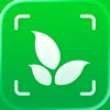 Plant Identifier: Plantiary