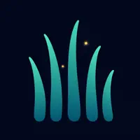 Rain & Nature Sounds: Sleep