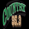Pierre Country 95.3 icon