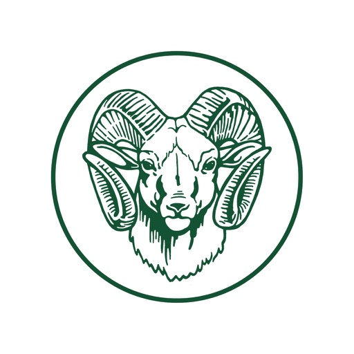 Madison Rams