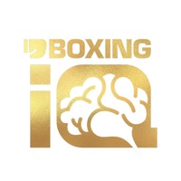 Boxing IQ