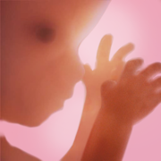 Gravidanza +| App Prenatale