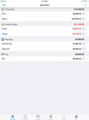 checkbook - ledger ipad resimleri 1