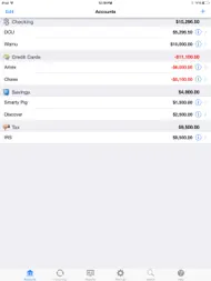 Checkbook - Ledger ipad bilder 0