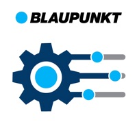 Blaupunkt 1D DSP logo