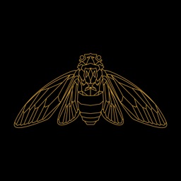 Cicada Media