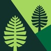 MobiliD icon