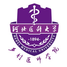 螢幕擷取畫面 (5) 河北乡医