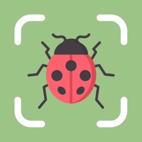 Insect Bug Identifier | BugPic
