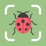 Get Insect Bug Identifier | BugPic for iOS, iPhone, iPad Aso Report