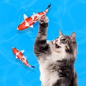 螢幕擷取畫面 (7) Cat alone: Fish game for cats