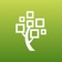 FamilySearch Memories app icon - Reference app for iPhone