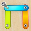 Screw Challange Pin Puzzle icon