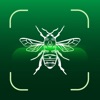 Insect Identifier : Bug Id App icon