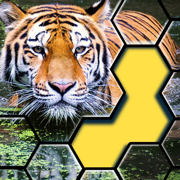 Hexa Jigsaw puzzle